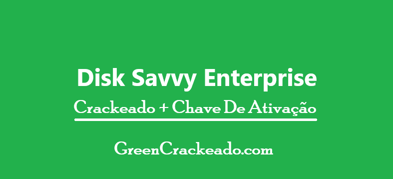 Disk Savvy Enterprise Crackeado + Chave De Ativação