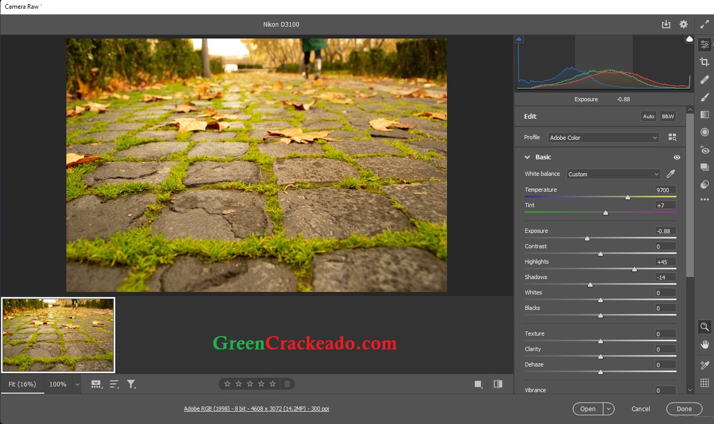 Adobe Camera Raw Crackeado