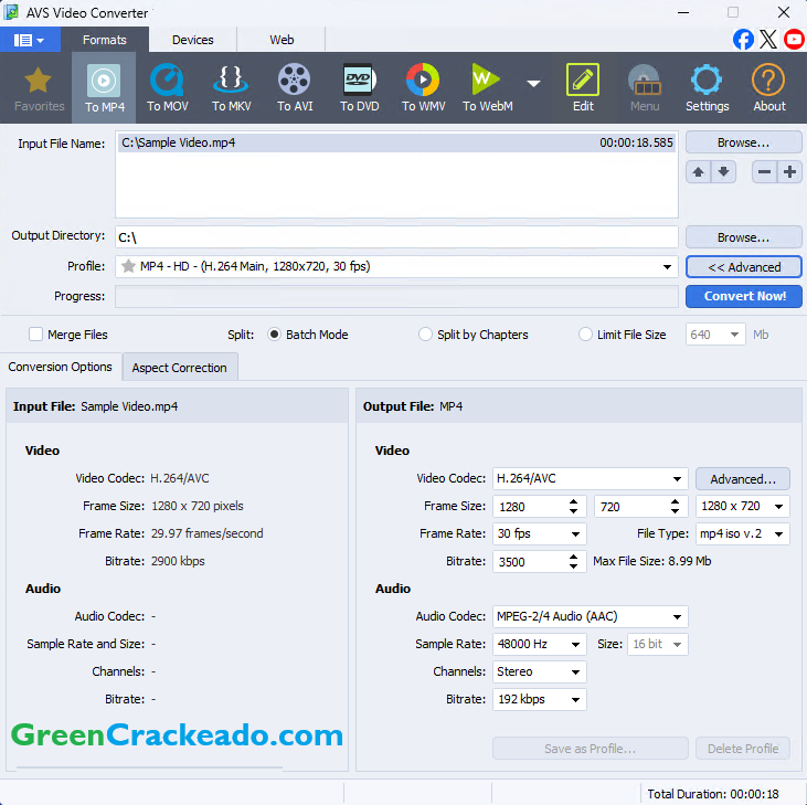 AVS Video Converter Crackeado